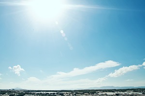 日当たりが良い